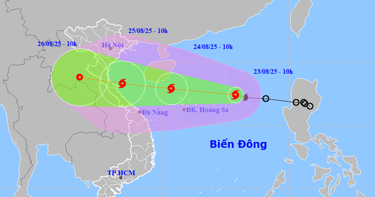 Da Nang requests to deploy measures to respond to storm No. 5
