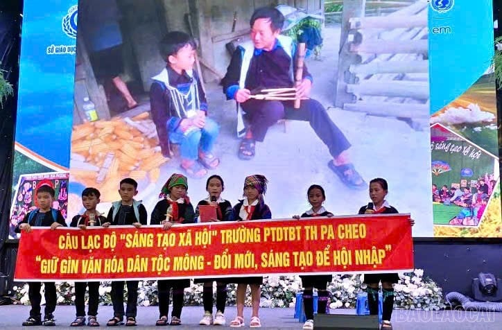 baolaocai-br_z6937394864836-7456886b0470649b11be9ac0c3b3ad63.jpg