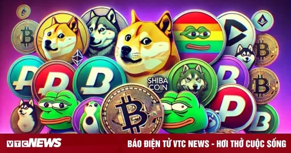 Dois-je investir dans une pièce mème ?