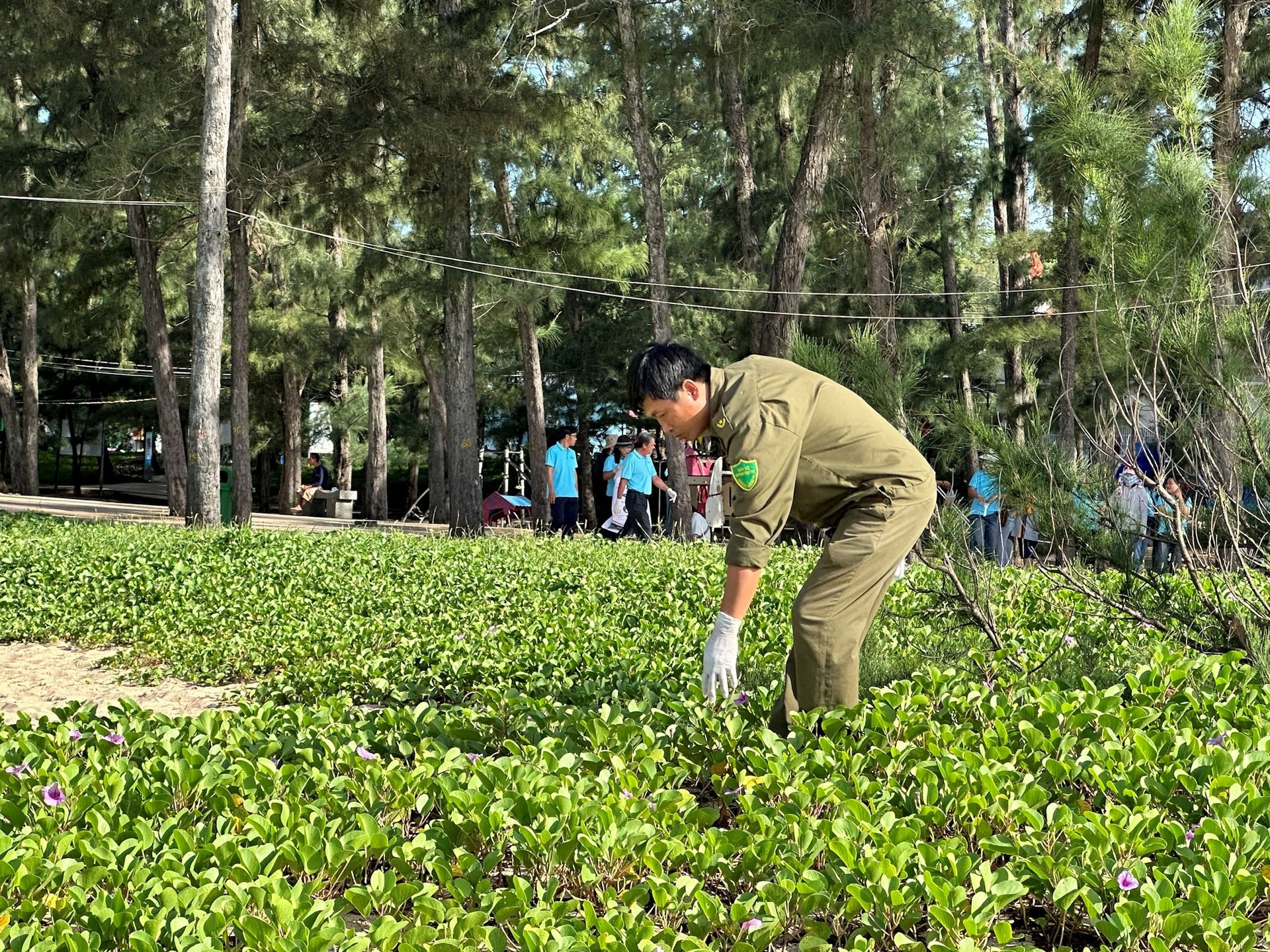កងកម្លាំងពាក់ព័ន្ធក្នុងអនាម័យបរិស្ថាន