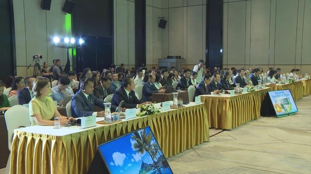 Doanh nghiệp phát triển bền vững trong kỷ nguyên mới- Ảnh 4.