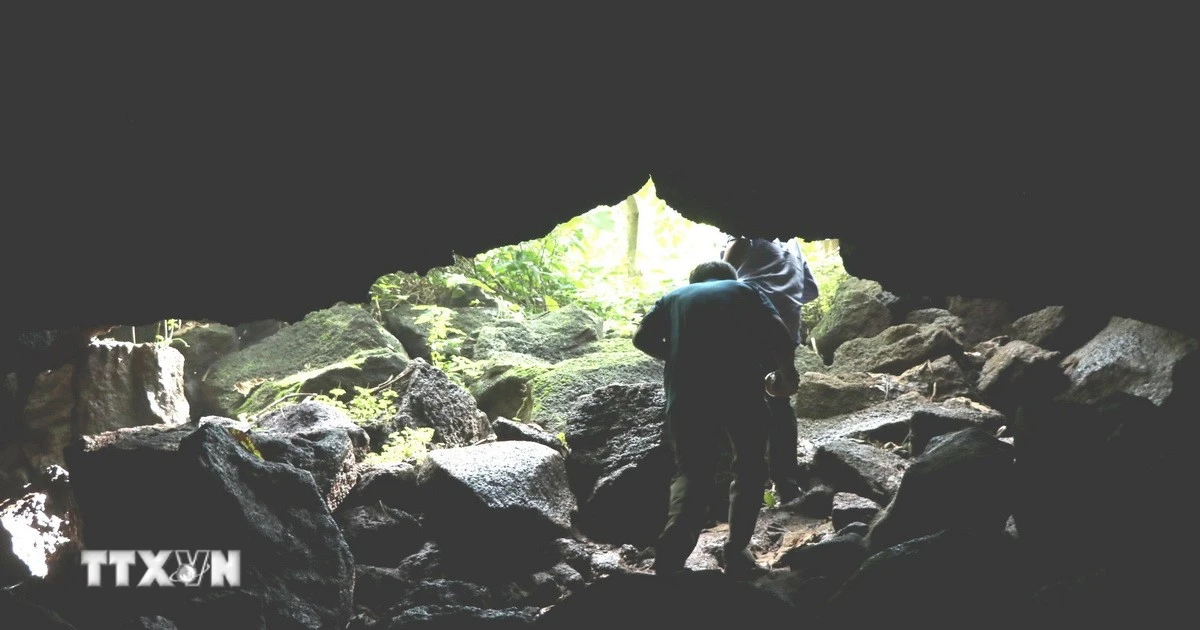 Erkunden Sie die Bat Cave – eine der fünf längsten Vulkanhöhlen in Südostasien