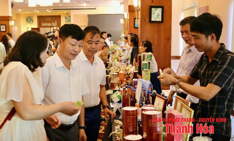 VCCI Thanh Hoa - Ninh Binh តភ្ជាប់ពាណិជ្ជកម្ម និងជំរុញពាណិជ្ជកម្ម