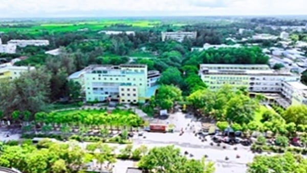 チャヴィン大学：新入生向けの包括的な支援策が多数