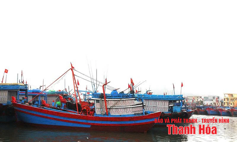 ការរៀបចំឡើងវិញនៃកងនាវានេសាទ