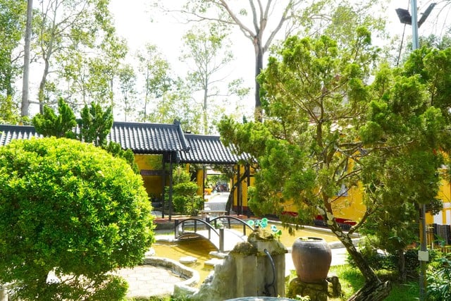 Ngôi chùa 130 năm tuổi xanh mát giữa trung tâm Cần Thơ- Ảnh 5.