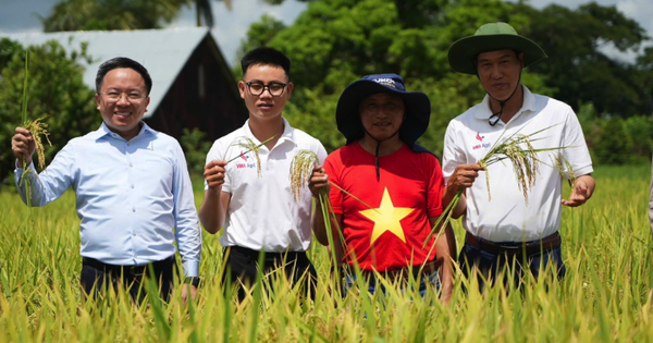 VTV Special "Seeds of Happiness" aired on September 2
