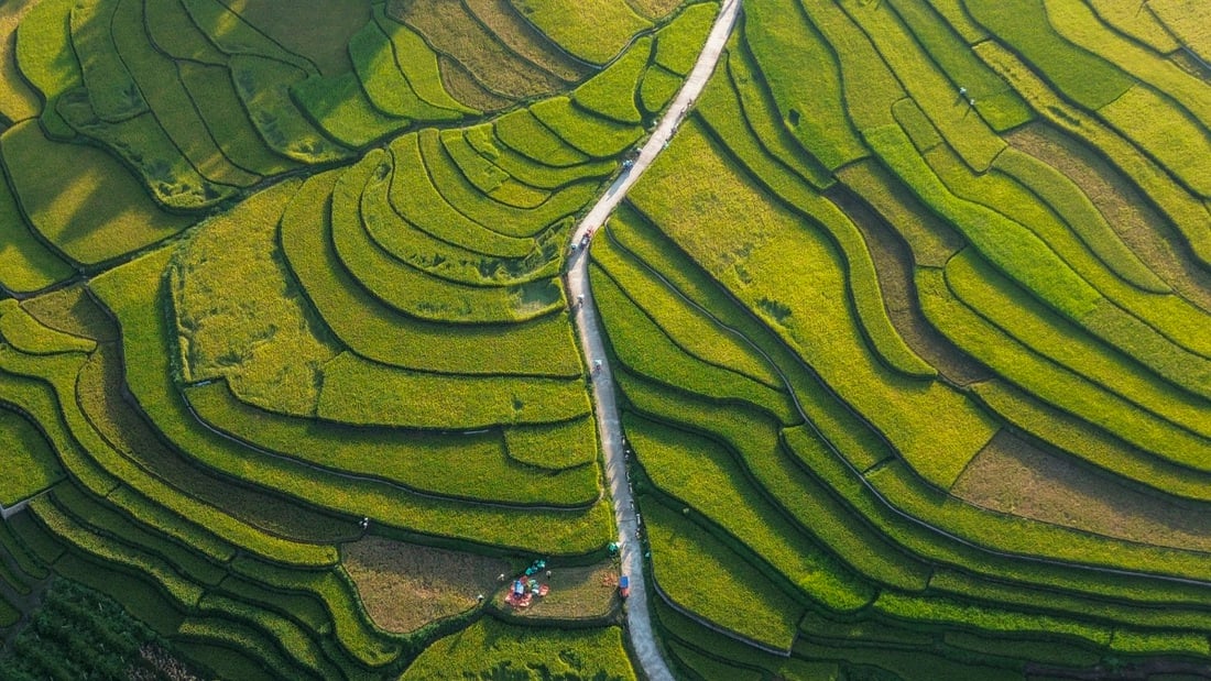 ruộng bậc thang - Ảnh 4.