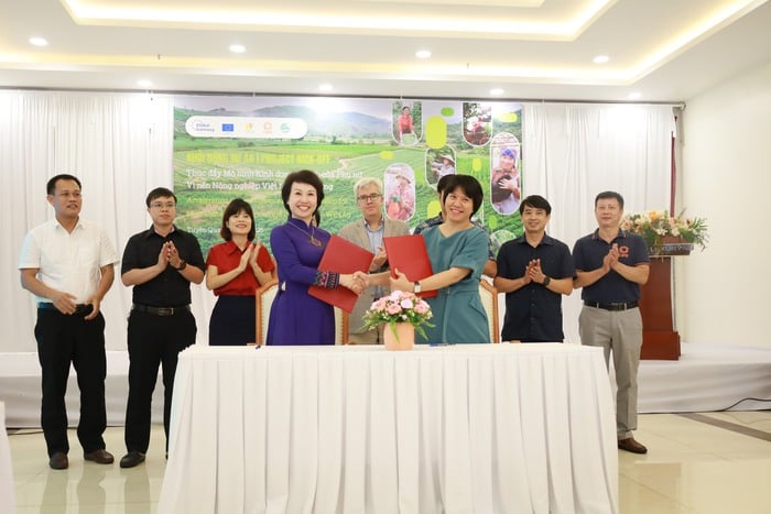 Đào tạo, nâng cao cao năng lực sản xuất nông nghiệp bền vững cho 1.500 phụ nữ tại Tuyên Quang- Ảnh 1.