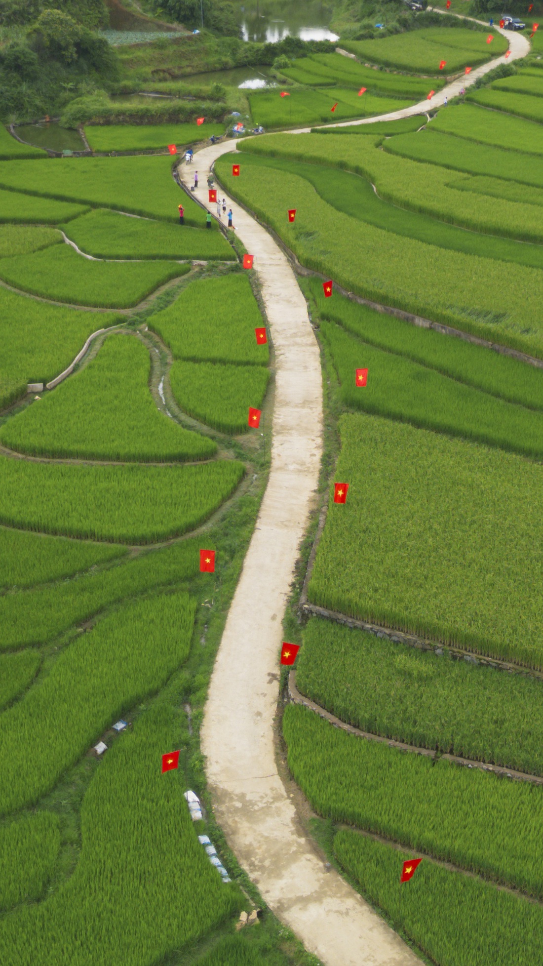 ruộng bậc thang - Ảnh 5.