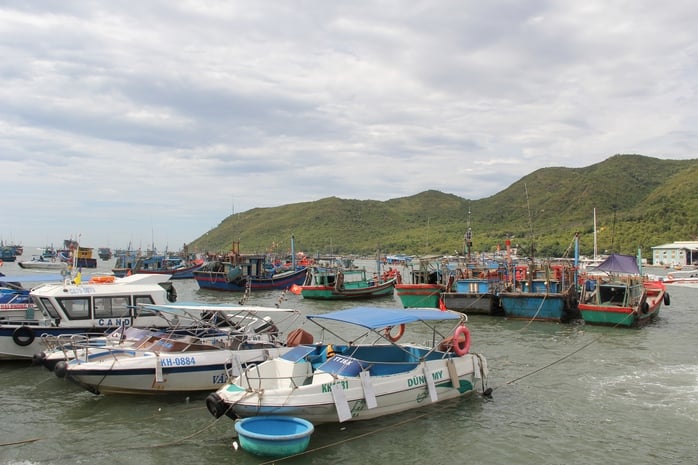 Thu phí tham quan Vịnh Nha Trang cao nhất 40 ngàn đồng/người - Ảnh 1.