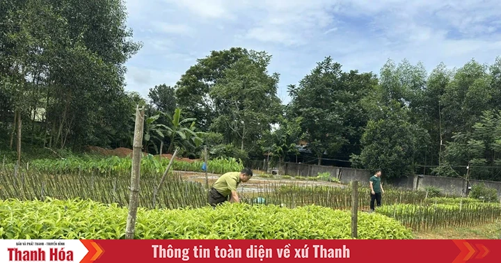 ក្រុមប្រឹក្សាគ្រប់គ្រងព្រៃឈើការពារ ឡាងចាញ់៖ ដំណោះស្រាយជាច្រើនសម្រាប់ការអភិវឌ្ឍព្រៃឈើប្រកបដោយនិរន្តរភាព