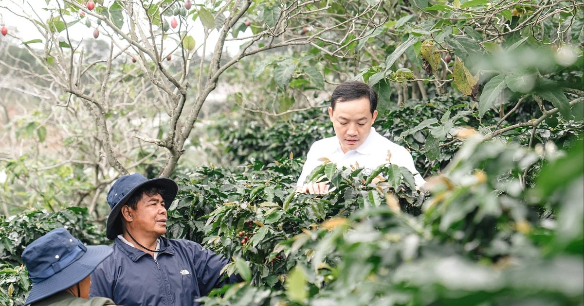 Tạo thu nhập cho vùng đồng bào dân tộc thiểu số