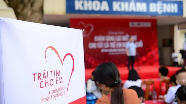 Expanding the scope of support and improving the effectiveness of the program "Heart for Children"