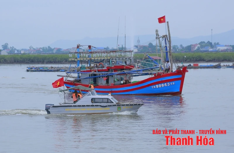 Thanh Hoa៖ ម្ចាស់​ទូក ១០០% បាន​ចាប់​យក​ព័ត៌មាន និង​ផ្លូវ​នៃ​ព្យុះ​លេខ ៥។