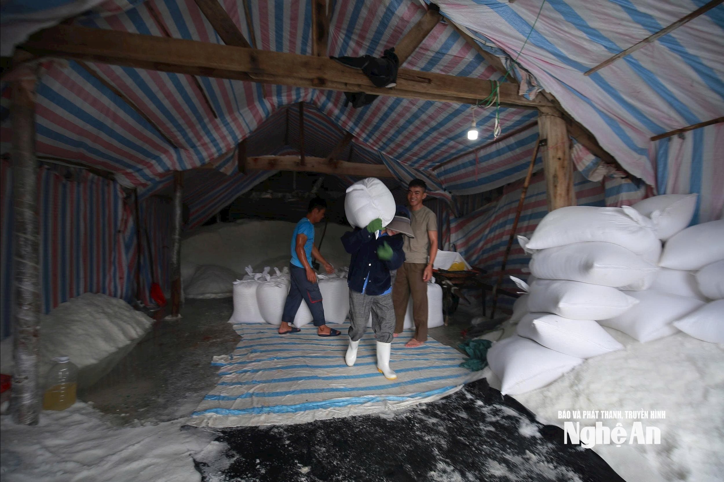 Vinh Ngoc Salt Enterprise mobilized workers and trucks to transport dozens of tons of salt from the salt fields to a safe warehouse before the storm. Photo: T.P.