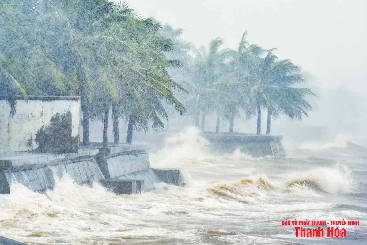 La tormenta No. 5 mantiene su dirección de movimiento, el área del mar de Thanh Hoa tiene olas de 5 a 7 metros de altura