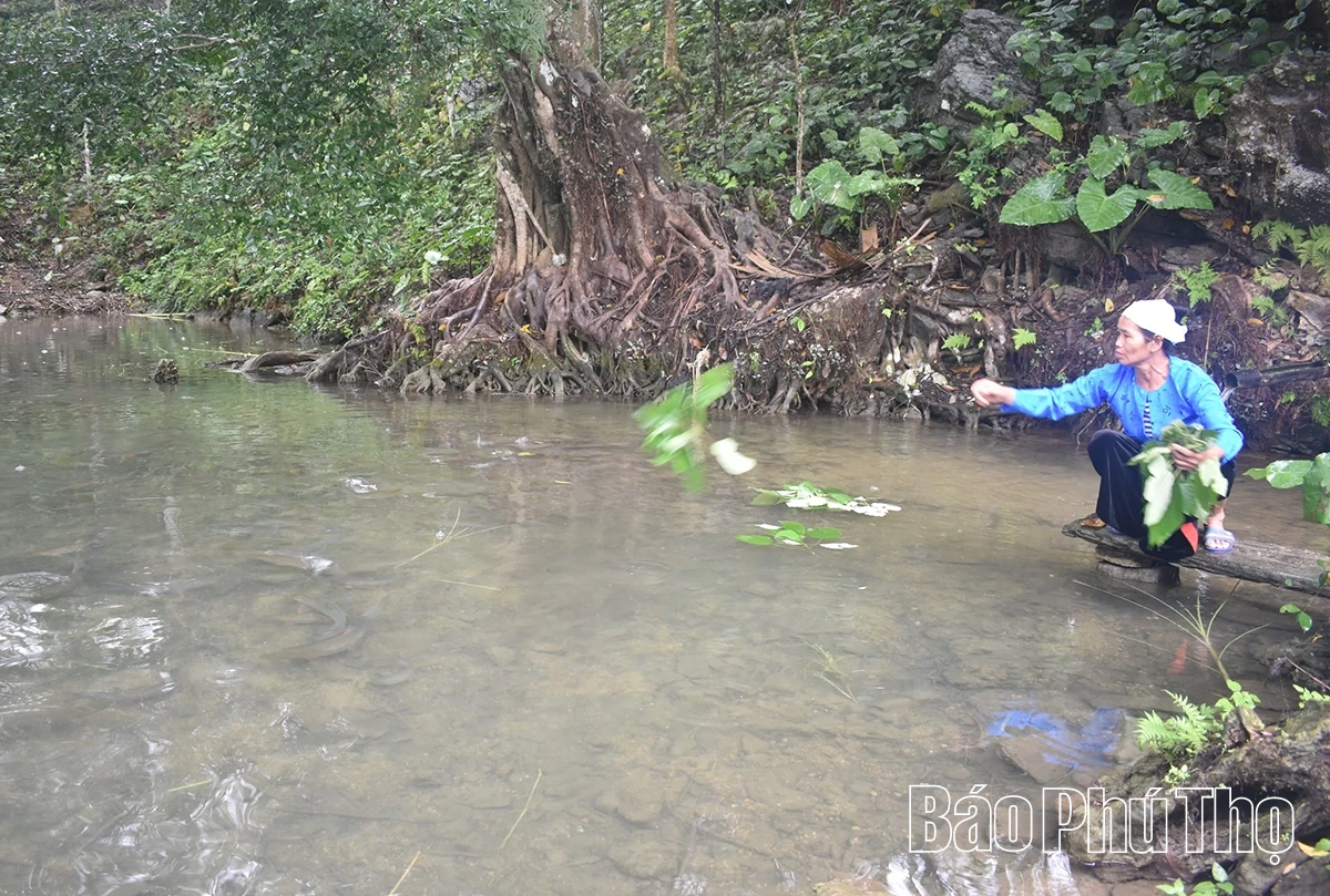 Homestay - Awakening the Muong village in the difficult area of ​​Ngoc Son