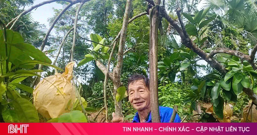 អ្នកស្រុក Phuc Trach ការពារយ៉ាងសកម្ម "ផ្លែឈើដ៏ល្បីល្បាញ" ពីព្យុះលេខ 5