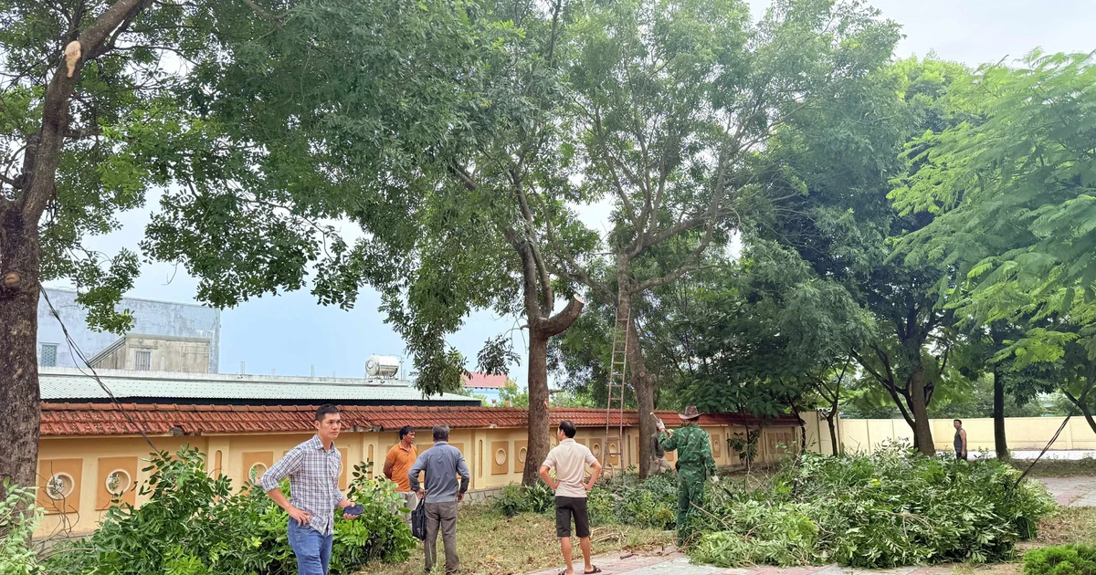El sector educativo de Quang Tri responde de forma proactiva a la tormenta n.º 5