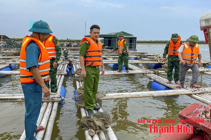 អ្នកនេសាទ Thanh Hoa ប្រញាប់ប្រញាល់ 