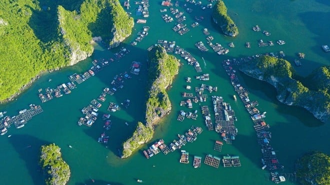 Năm 2023, Quần thể Vịnh Hạ Long - Quần đảo Cát Bà (thuộc địa bàn tỉnh Quảng Ninh và thành phố Hải Phòng) được công nhận là Di sản Thiên nhiên Thế giới. Trong ảnh: Vẻ đẹp của Vịnh Lan Hạ (nằm ở phía Đông đảo Cát Bà) nhìn từ trên cao. (Ảnh: Minh Đức/TTXVN)