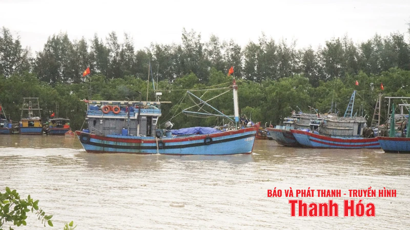 អ្នកនេសាទ Thanh Hoa ប្រញាប់ប្រញាល់ 