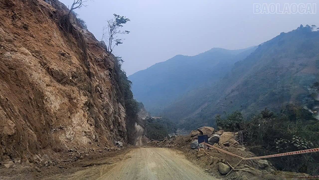 baolaocai-tr_z6481084499934-2594dd732b025408ca44d60620af134c.jpg