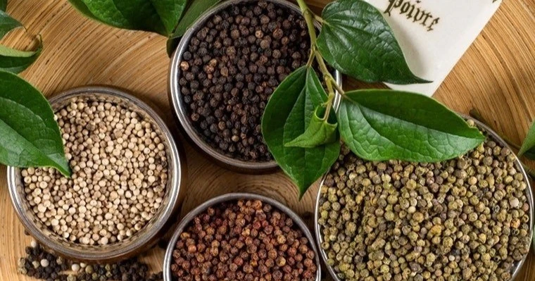 El 24 de agosto, el precio de la pimienta en Gia Lai aumentó a 143.500 VND/kg.