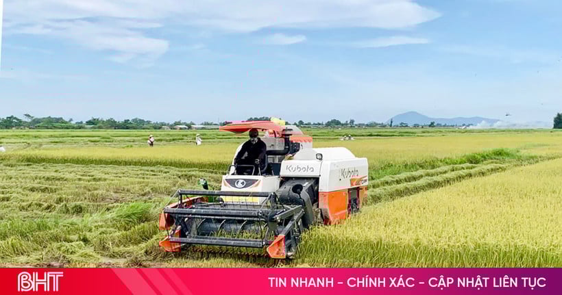 Ha Tinh allocates 6.9 billion VND to support localities in preventing storm No. 5