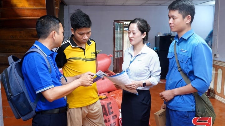 Entwicklung der digitalen Infrastruktur im Gebiet Phu Yen