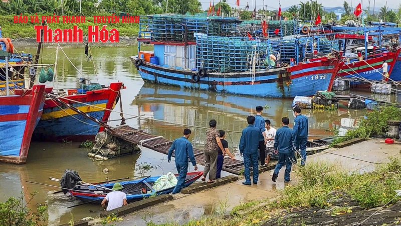 អ្នកនេសាទ Thanh Hoa ប្រញាប់ប្រញាល់ 