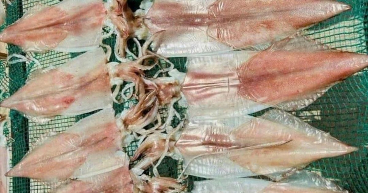Dried squid and mackerel retain their delicious taste, avoid buying the wrong one