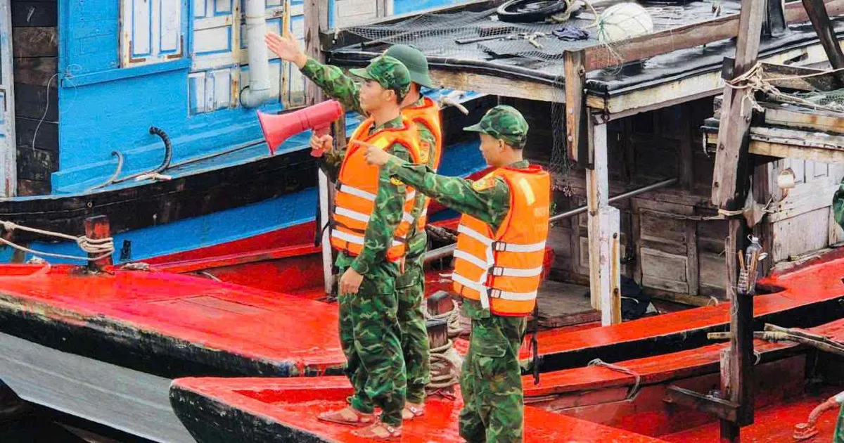 Despliegue del Comité de Comando Avanzado para responder a la tormenta Nº 5 en Nghe An