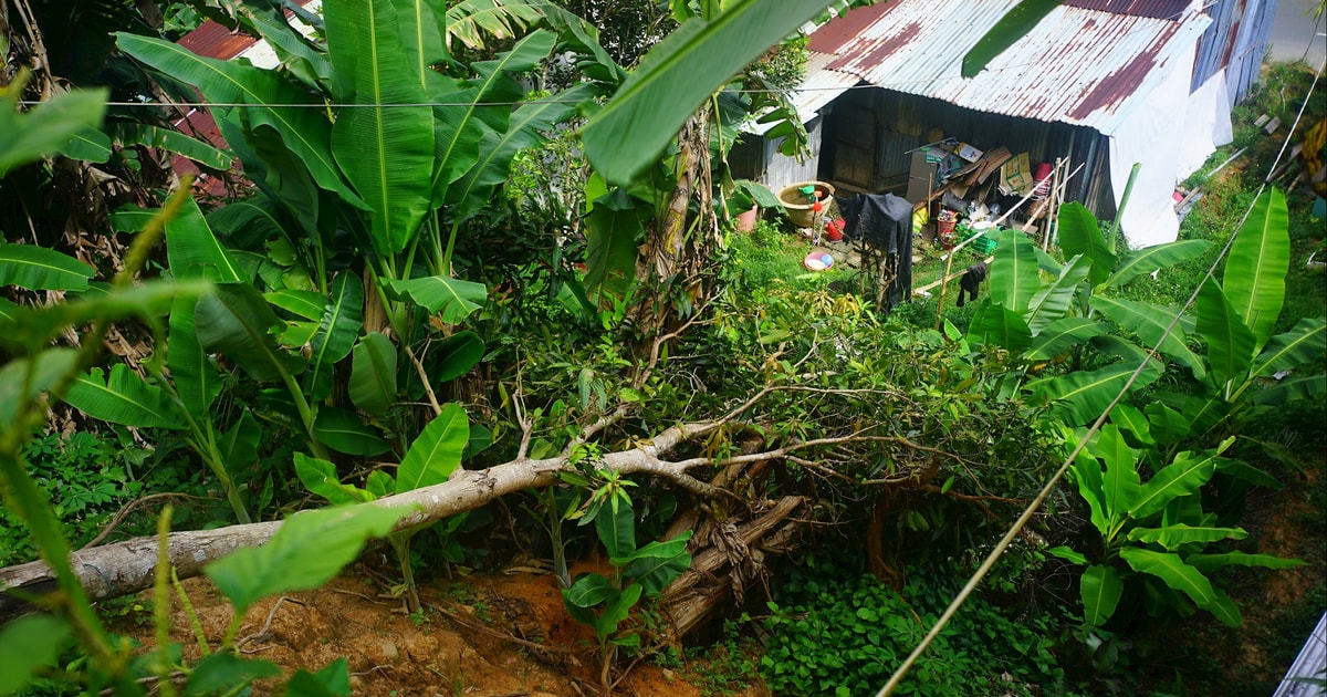 The highlands are worried about landslides.