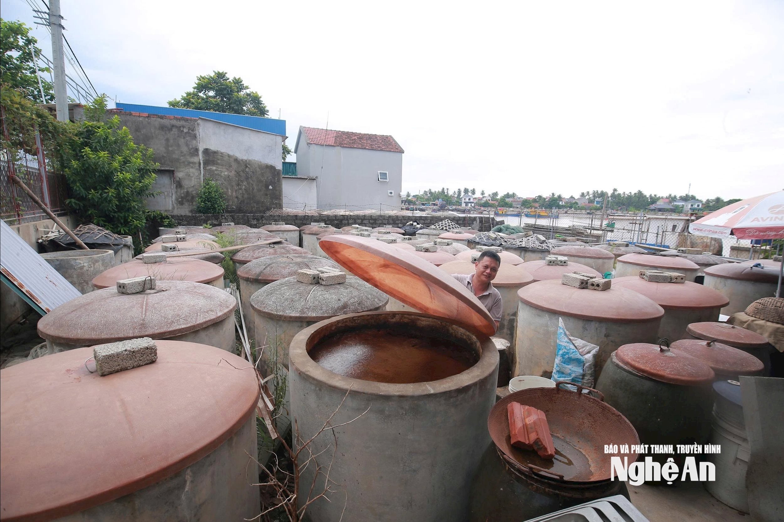 Households in Quynh Mai and Tan Mai fish sauce villages cover and cushion fish sauce and shrimp paste barrels to prevent whirlwinds and heavy rain. Photo: T.P.