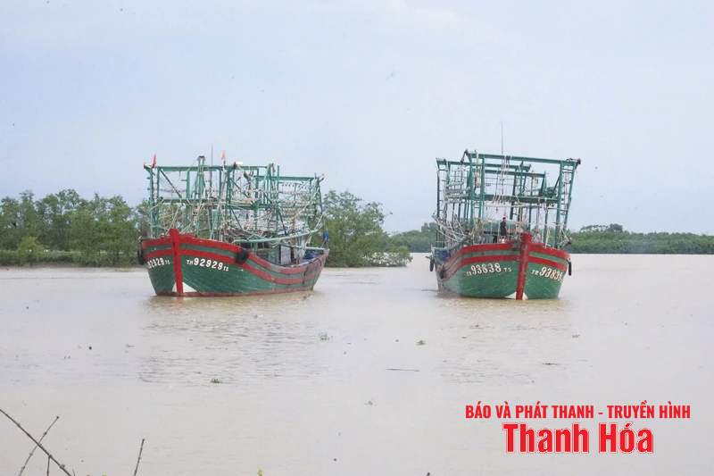 អ្នកនេសាទ Thanh Hoa ប្រញាប់ប្រញាល់ 