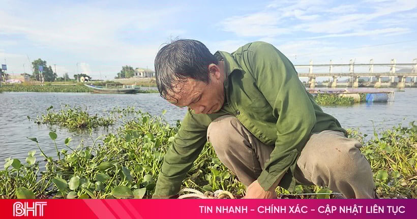 Ha Tinh farmers urgently protect farmed aquatic products from storm No. 5