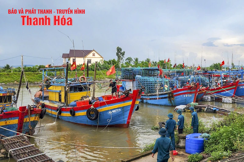 អ្នកនេសាទ Thanh Hoa ប្រញាប់ប្រញាល់ 