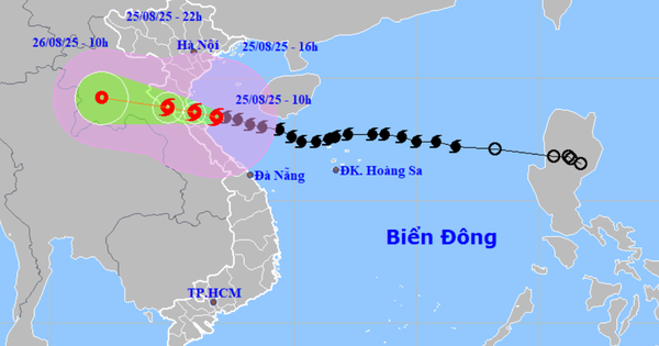 Télégramme du ministre de la Culture, des Sports et du Tourisme, Nguyen Van Hung, sur la nécessité de se concentrer sur la réponse urgente à la tempête n° 5