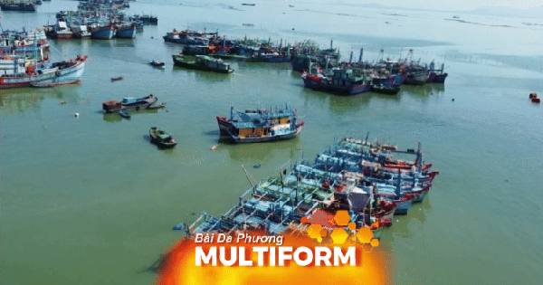 Ho Chi Minh City promotes digitalization, tightens management to remove "yellow card" for seafood