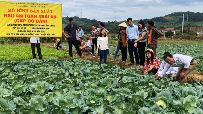 Sơn La đặt mục tiêu trở thành vùng nông nghiệp ứng dụng công nghệ cao ở vùng Tây Bắc- Ảnh 3.