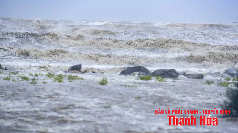 រលក​ខ្ពស់ ដើមឈើ​រលំ​ដោយសារ​ខ្យល់ព្យុះ​លេខ​៥​