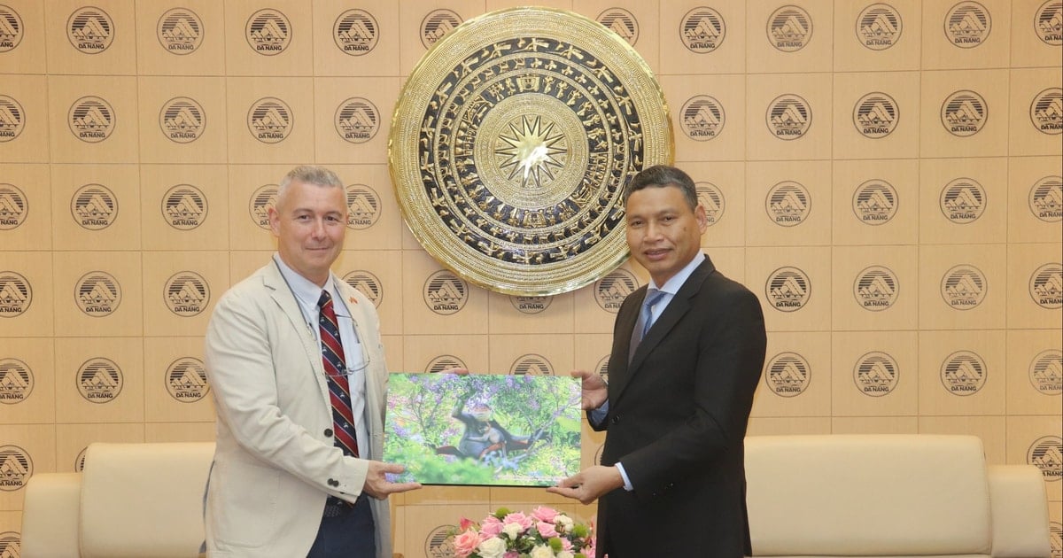 Belgian Ambassador explores cooperation opportunities to develop Da Nang Free Trade Zone