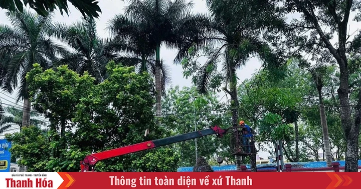 Organize tree pruning campaign, clear traffic safety corridor