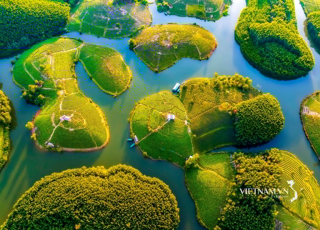 응에안(Nghe An)의 유명한 여행지인 탄추옹 차섬(Thanh Chuong Tea Island)