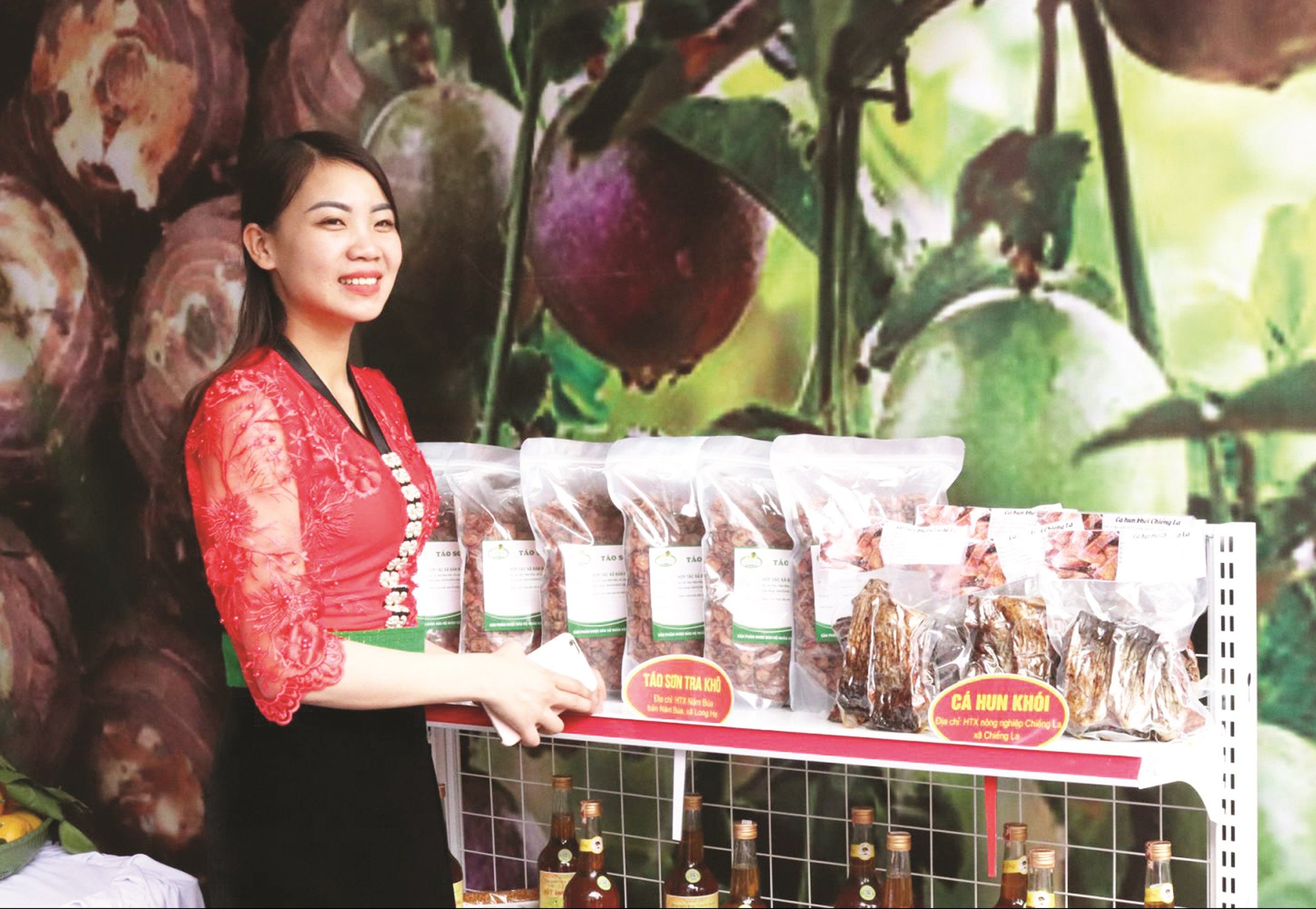 Sơn La đặt mục tiêu trở thành vùng nông nghiệp ứng dụng công nghệ cao ở vùng Tây Bắc- Ảnh 1.