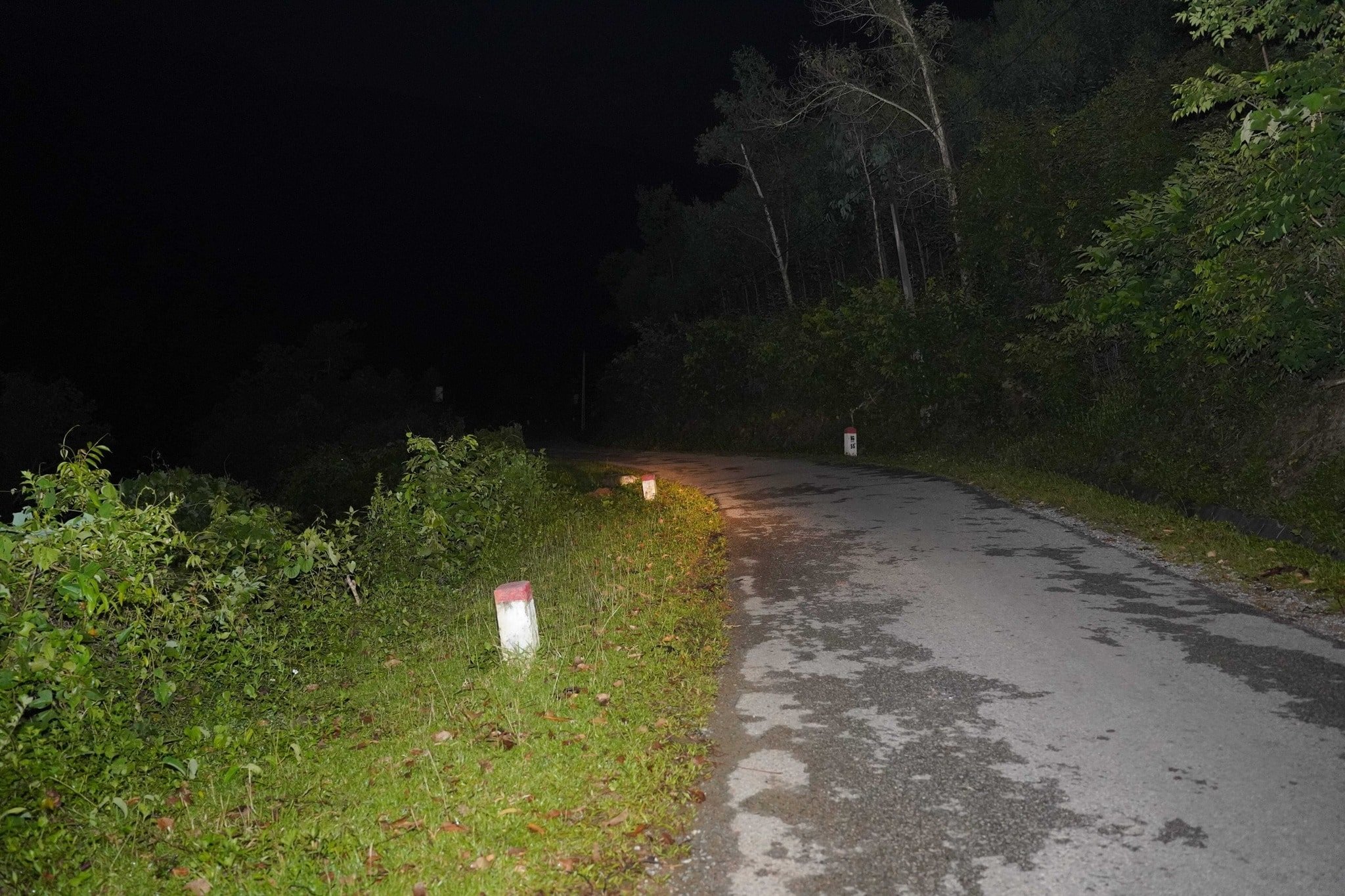 Le voyage « Green Light » éclaire de nombreuses routes au Vietnam - 1