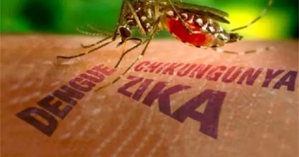 El Ministerio de Salud desmiente información sobre casos de chikungunya en Vietnam.