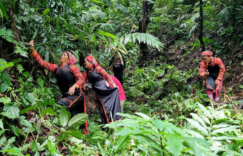People are more determined to protect the "green lung"